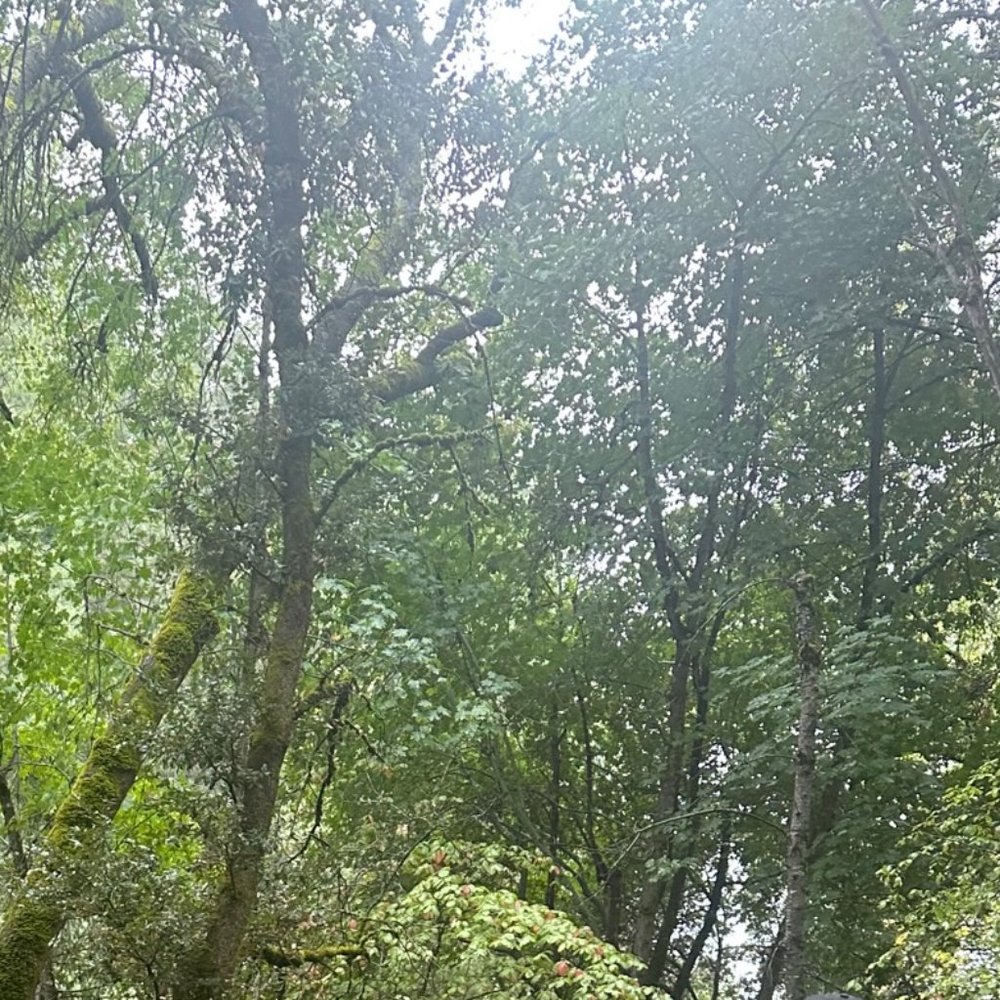 Meet your Posher, Carla